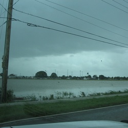 Hurricanes